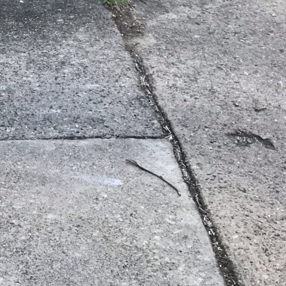 Meet your Posher, Kenneth - Picture 1 of 1